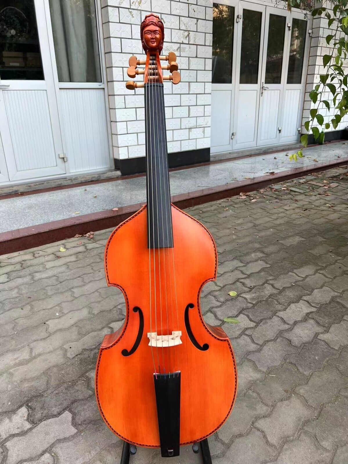Foto 2 di 12