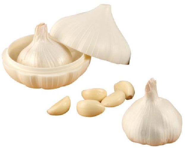 Fackelmann 47373 Conservatore di Aglio, Bianco, 9.9 x 8.9 x 9.9 cm