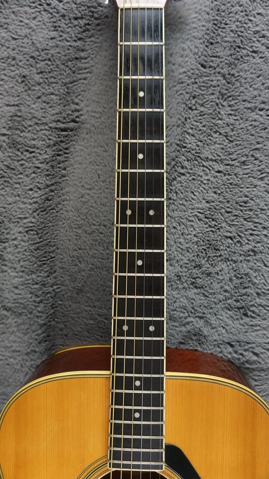 Picture 7 of 24
