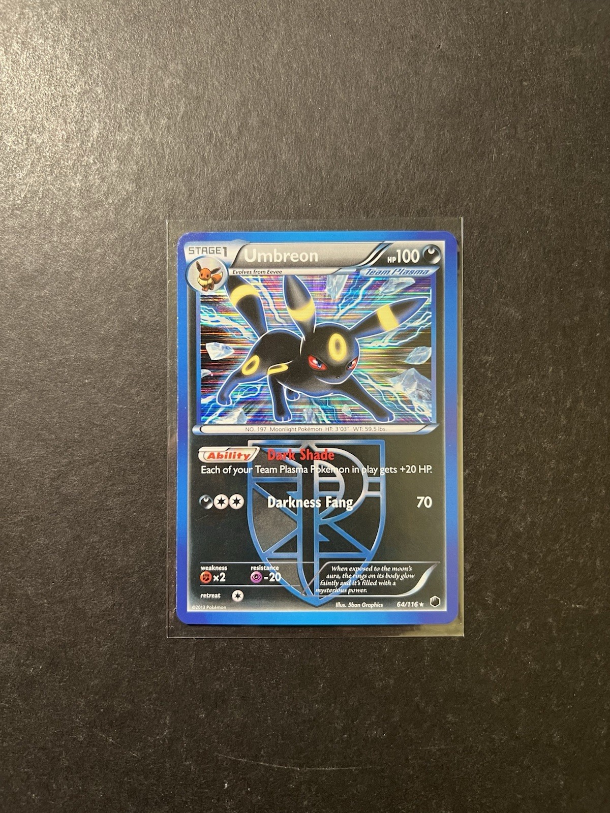 Umbreon 64/116 Plasma Freeze Holo Rare Pokemon Card Team Plasma PTCG LP