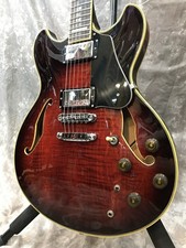 Ibanez Cuerpo Hueco Personalizado Entrega Segura desde Japón