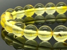 Baltic AMBER BRACELET Gift Insect Inclusion Yellow Round Beads Insects 6g 13189