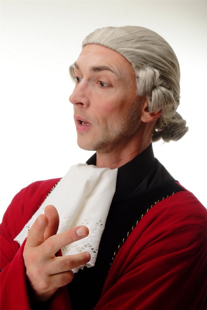 Perruque Baroque Homme WIG ME UP - Style Lord Noble Gris - Pour Carnaval/Théâtre