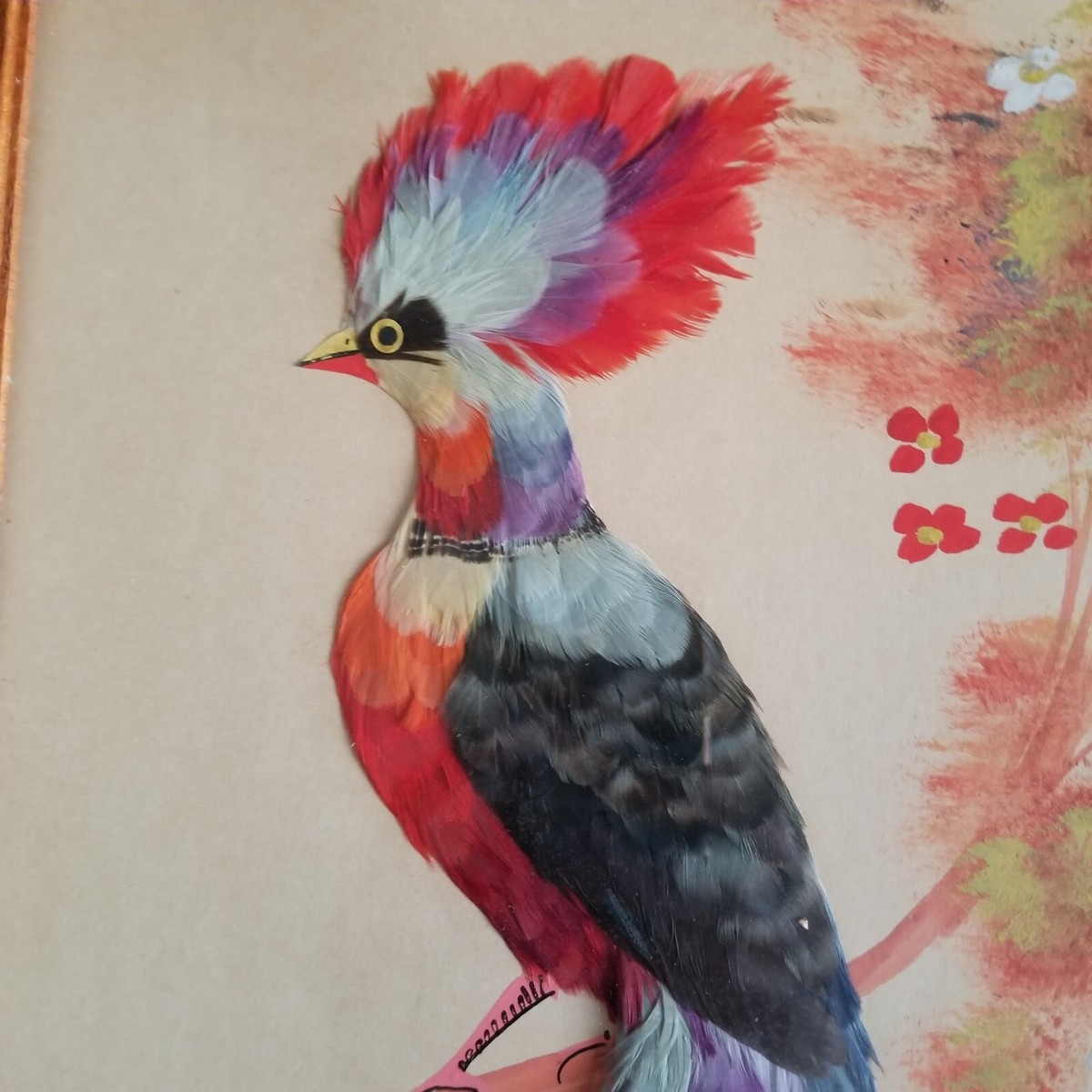 アート・デザイン・音楽 CLASSIC NATURAL HISTORY PRINTS BIRDS Vintage Bird Print, French Bird Poster Ornithology Print