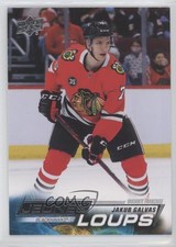 2022-23 Upper Deck Series 1 Young Guns French Jakub Galvas #225 0v33