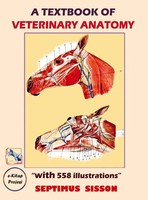 Septimus Sisson | A Textbook Of Veterinary Anatomy | Taschenbuch | Englisch