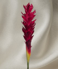 Ginger lily stem. Silk flower arrangements tropical Hawaiian flowers DARK RED