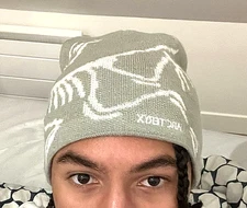 Arc'teryx Bird Head Toque Ash Gray Wool Beanie Hat Winter Ski Cap NWT