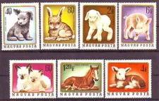 HUNGARY - 1974. Young Animals - MNH