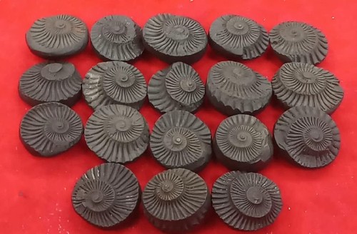 Blessed Sudarshan Shaligram | Nepal Gandaki River Chakra Saligram (SHALIGRAM-08) - Picture 3 of 3