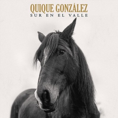 QUIQUE GONZÁLEZ SUR EN EL VALLE NEW LP