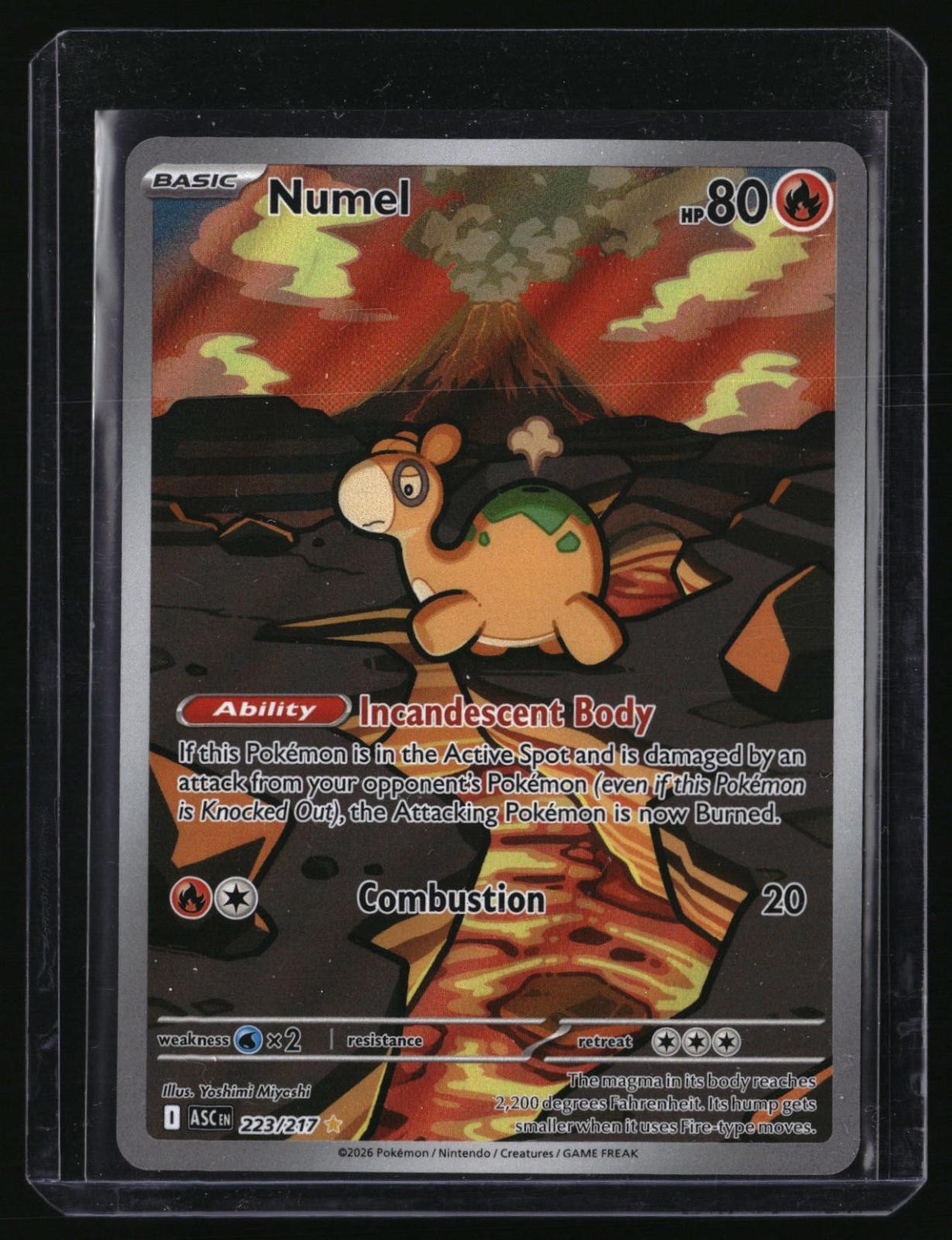 numel pokemon card value Amazon.com: Pokemon - Numel (21/149) - BW