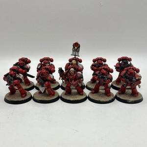 WARHAMMER 40000 BLOOD Angels Reivers Space Marines Painted EUR 31,29 - FR
