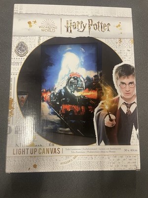 Harry Potter Hogwarts Express Leuchtleinwand - 30x40cm