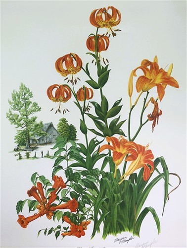 Maryrose Wampler, Lilies & Trumpet Vine, Signed Print, 28x22 Wall Art, Plate 23 - Picture 2 of 9