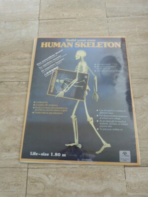 build your own human skeleton Life-size 1.80 Taschen 1993 - sealed sous blister