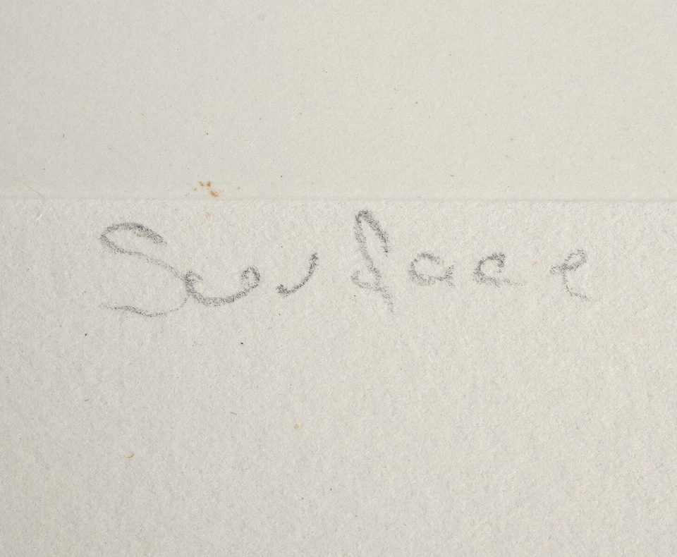 Richard Tuttle 'Surface' Firmado 1997 Original Color Fotograbado - 34 ¡Disponibles! Foto 4 de 4
