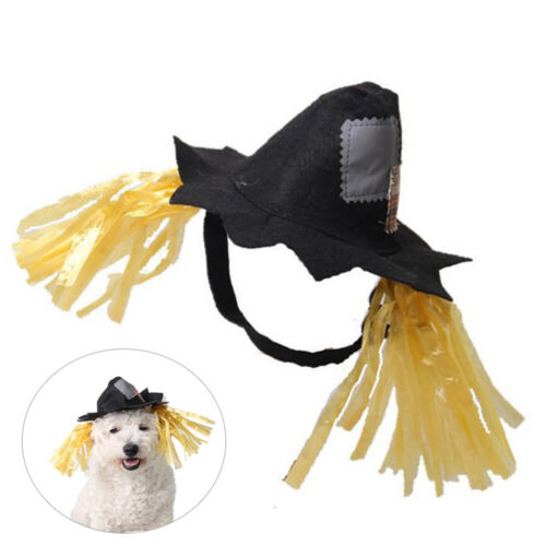  Costume spaventapasseri gatto berretto per animali domestici decorazioni di Halloween abbigliamento - Foto 1 di 11