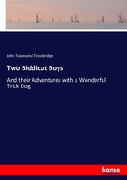 John Townsend Trowbridge | Two Biddicut Boys | Taschenbuch | Englisch (2017)