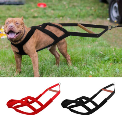 harnesses for large dogs