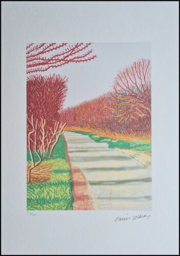 DAVID HOCKNEY * The Arrival..* 50 x 35 cm * signed lithograph * limited # 60/500
