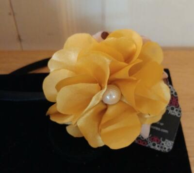 Stylish New Paparazzi Hair Head Band, Headband, Multiple Choices, HairT1C