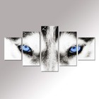 Large 5 Pieces Wolf Canvas Wall Art Black and White Wolf Dog Blue Eyes Animal...
