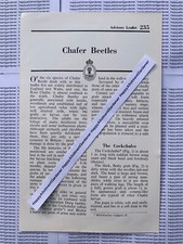Chafer Beetles MAFF Advisory Leaflet No. 235 1954