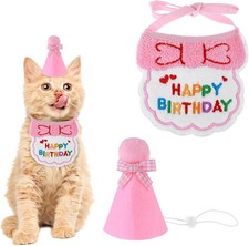 Cat Birthday Hat and Bib Set, Pink Party Bandana Outfit for Pets