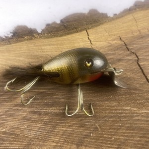 Creek chub Dingbat | eBay