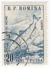1960 Romania - Salmon - 20 Bani Stamp
