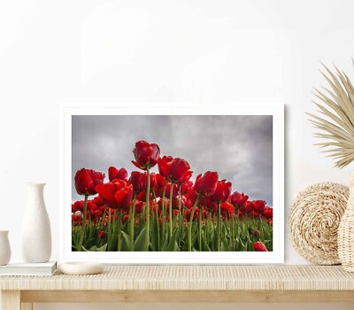 Red Flower Filed With Cloudy Sky Poster Premium Quality Choose your Size