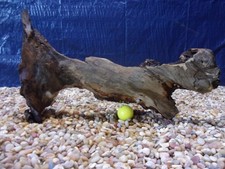 Large Driftwood 12"x19"x06" Aquarium Terrarium Reptile Natural Art