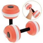 Swimming Pool Weights Water Fitness Equipment Dumbbells for Exercise