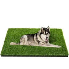 Artificial Grass, Professional Dog Grass Mat, Potty Training Rug and Replacement