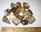 15 TUMBLED POLISHED 0.5"-0.8" PETRIFIED WOOD FOSSIL STONES MADAGASCAR 62g *3 (GG — photo 1