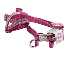 CFO Chief Furry Officer Camden Drive Dog Harness Size Small Fits Girth 13"-18"