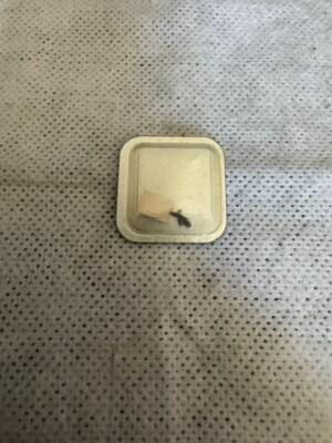 新品 純正 ROLEX setting lever 2135-220 ROLEX- SETTING LEVER -FACTORY SEALED-CALIBER 2135 PART 2135