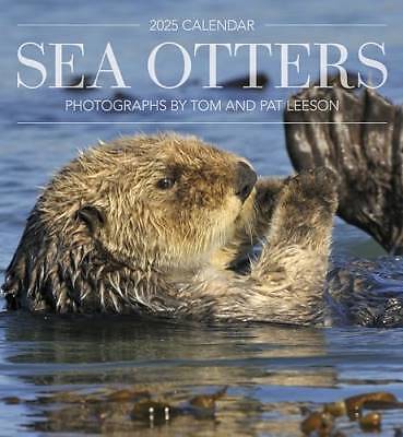 Seeotter, Pat, Taschenbuch