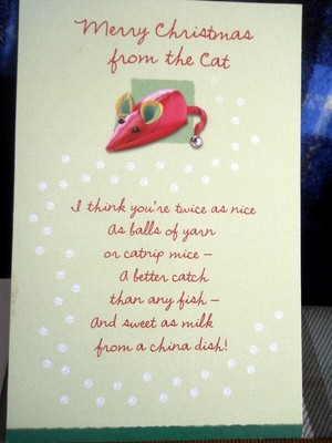 MERRY CHRISTMAS Greeting Card - From THE CAT -your nicer than Yarn or Catnip