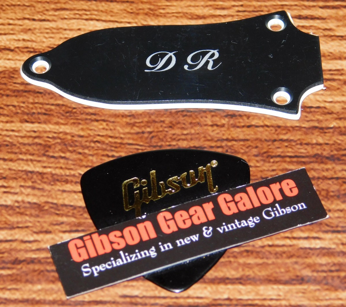 Epiphone DR-100 Truss Rod Cover Lefty Acoustic Relic SG Guitar