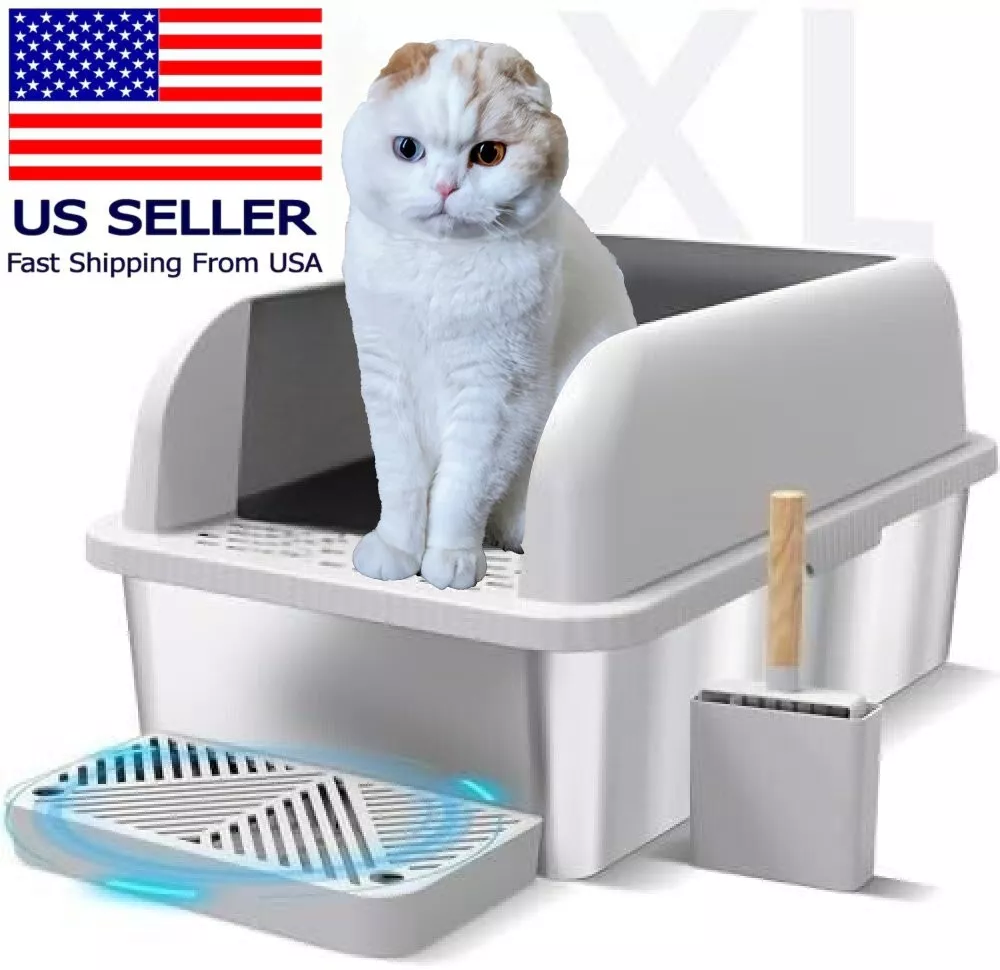 Cat tray with clearance lid