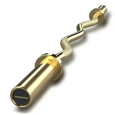 47" Olympic EZ Curl Bar 500-Lbs Capacity Steel Barbell Suitable for 2" Weight Pl