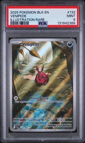 Venipede graded PSA 9 for sale on eBay