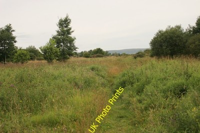 Foto 6x4 Robroyston Park Lokales Naturschutzgebiet Balornock ein Großteil des Parks c2016