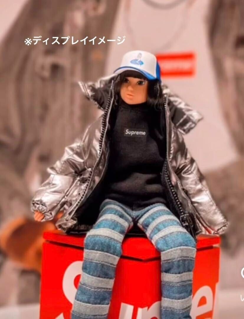 定価以下値下げ 完売品 Supreme momoko dolls PetWORKS 新品 シュプリーム-