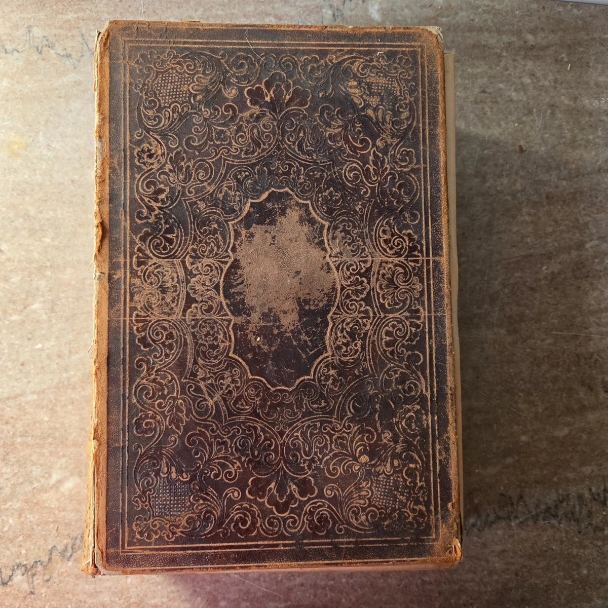 25+ Bible Books 1850-1899 for sale | Updated Oct 2026
