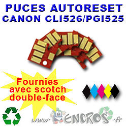 Puces Auto-Reset CLI526 PGI525 pour imprimer vos photos de famille sur imprimante Canon