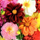 Bild 70 von 83