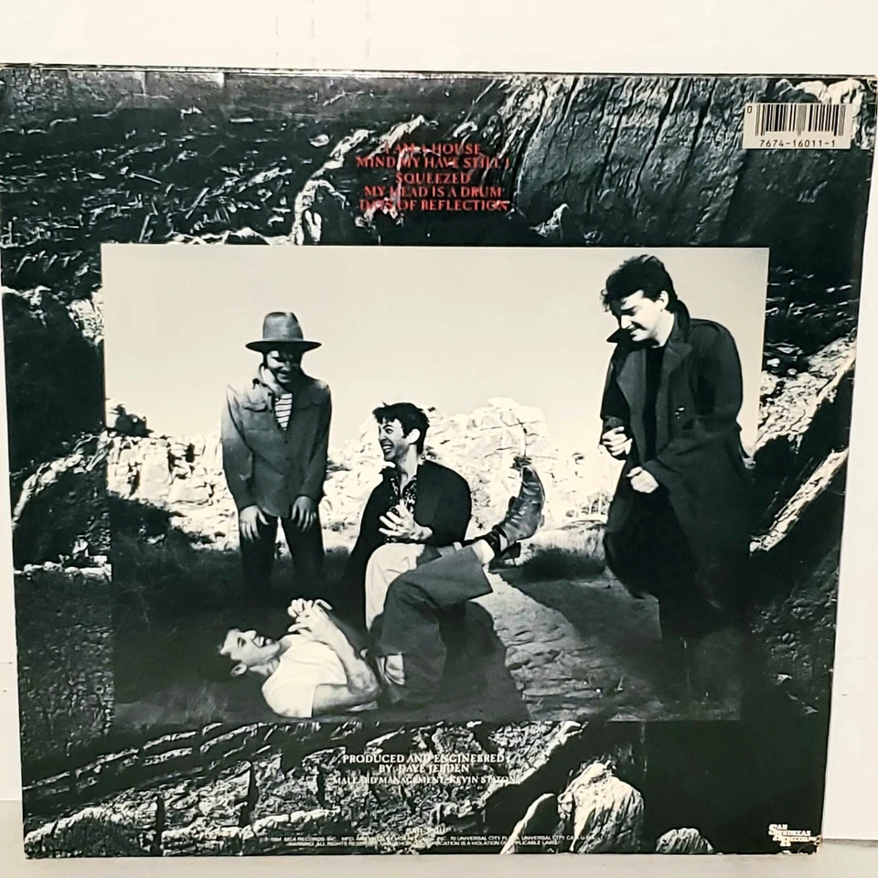 WHAT IS THIS Squeezed EP VG+ Plays Well 1984 Hillel Slovak Chili Peppers RHCP — 第 2/4 张图片